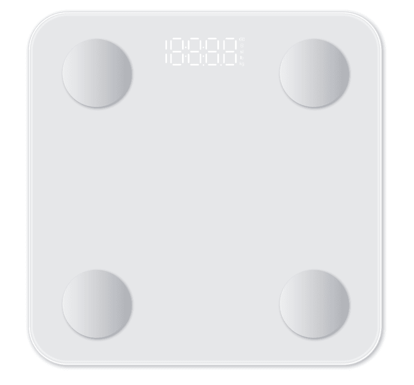 Body Weight Scale